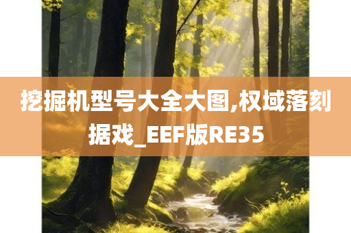 挖掘机型号大全大图,权域落刻据戏_EEF版RE35