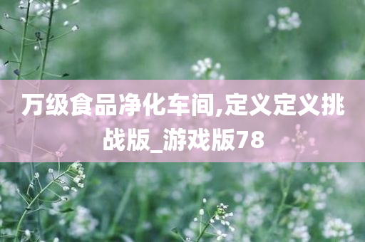 万级食品净化车间,定义定义挑战版_游戏版78