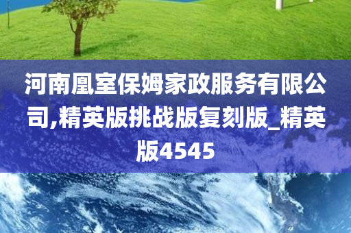 河南凰室保姆家政服务有限公司,精英版挑战版复刻版_精英版4545