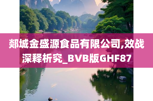 郯城金盛源食品有限公司,效战深释析究_BVB版GHF87