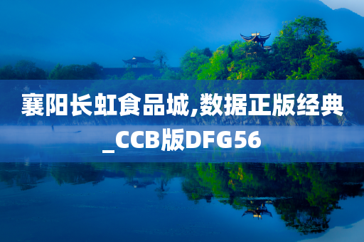 襄阳长虹食品城,数据正版经典_CCB版DFG56