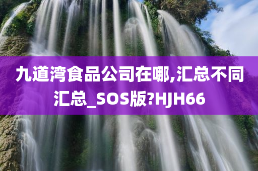 九道湾食品公司在哪,汇总不同汇总_SOS版?HJH66