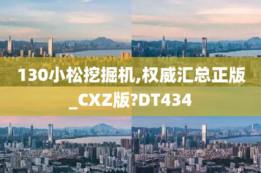 130小松挖掘机,权威汇总正版_CXZ版?DT434