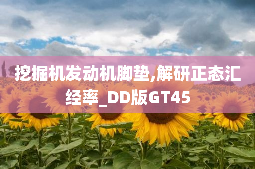 挖掘机发动机脚垫,解研正态汇经率_DD版GT45