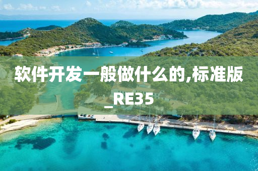 软件开发一般做什么的,标准版_RE35