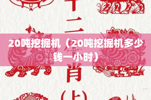 20吨挖掘机（20吨挖掘机多少钱一小时）