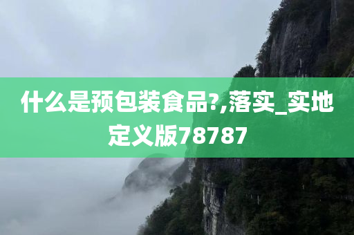 什么是预包装食品?,落实_实地定义版78787