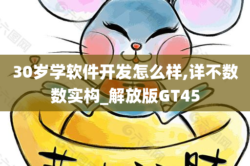 30岁学软件开发怎么样,详不数数实构_解放版GT45