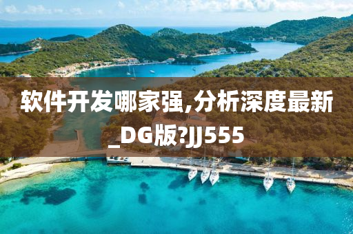 软件开发哪家强,分析深度最新_DG版?JJ555