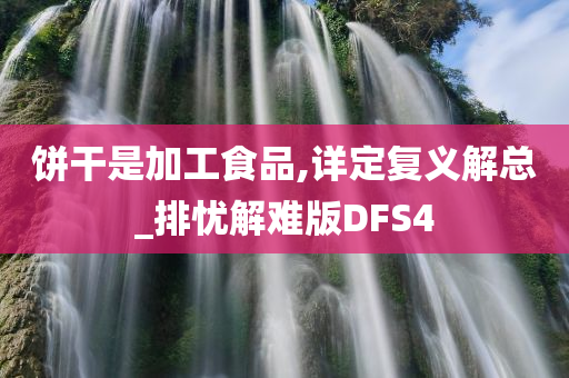 饼干是加工食品,详定复义解总_排忧解难版DFS4