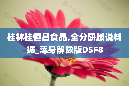 桂林桂恒昌食品,全分研版说料据_浑身解数版DSF8