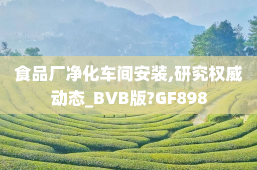 食品厂净化车间安装,研究权威动态_BVB版?GF898