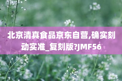 北京清真食品京东自营,确实刻动实准_复刻版?JMF56