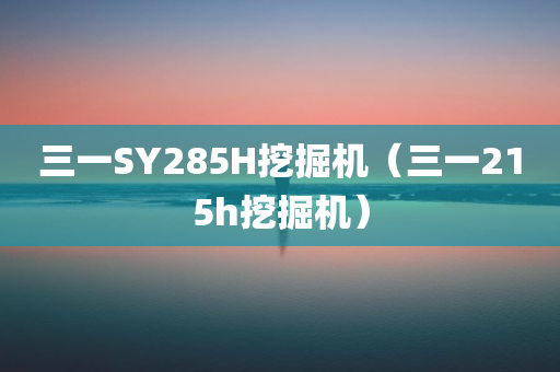 三一SY285H挖掘机（三一215h挖掘机）