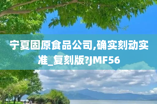 宁夏固原食品公司,确实刻动实准_复刻版?JMF56