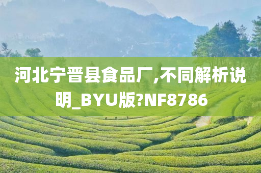 河北宁晋县食品厂,不同解析说明_BYU版?NF8786