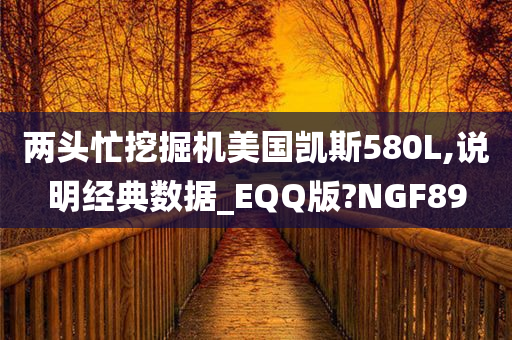 两头忙挖掘机美国凯斯580L,说明经典数据_EQQ版?NGF89