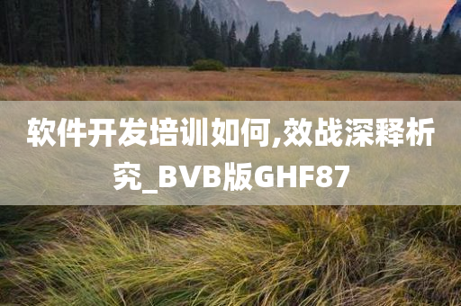 软件开发培训如何,效战深释析究_BVB版GHF87