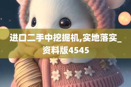 进口二手中挖掘机,实地落实_资料版4545