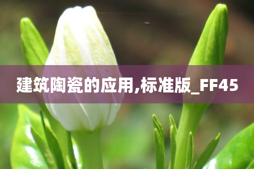 建筑陶瓷的应用,标准版_FF45