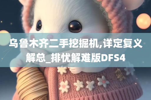 乌鲁木齐二手挖掘机,详定复义解总_排忧解难版DFS4