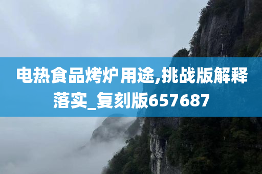 电热食品烤炉用途,挑战版解释落实_复刻版657687