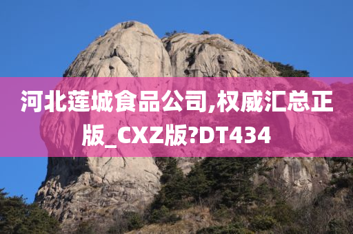 河北莲城食品公司,权威汇总正版_CXZ版?DT434