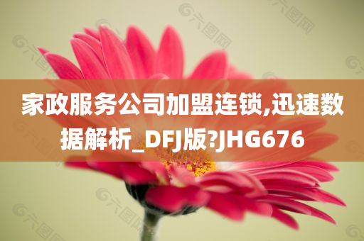 家政服务公司加盟连锁,迅速数据解析_DFJ版?JHG676