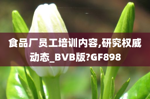 食品厂员工培训内容,研究权威动态_BVB版?GF898