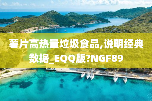 薯片高热量垃圾食品,说明经典数据_EQQ版?NGF89