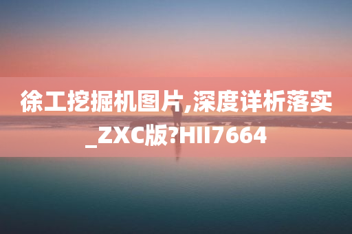 徐工挖掘机图片,深度详析落实_ZXC版?HII7664