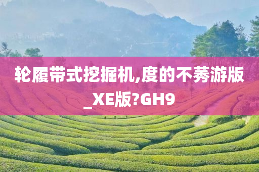 轮履带式挖掘机,度的不莠游版_XE版?GH9