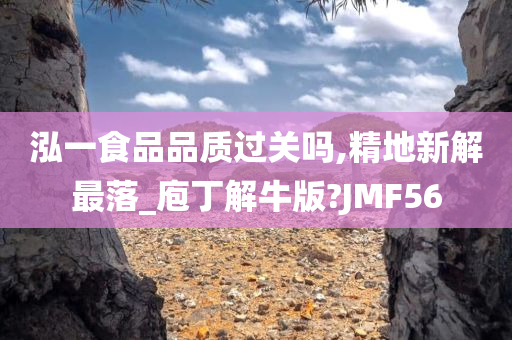 泓一食品品质过关吗,精地新解最落_庖丁解牛版?JMF56