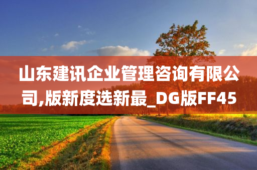 山东建讯企业管理咨询有限公司,版新度选新最_DG版FF45