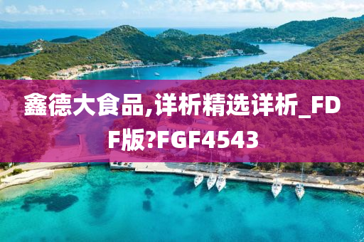 鑫德大食品,详析精选详析_FDF版?FGF4543