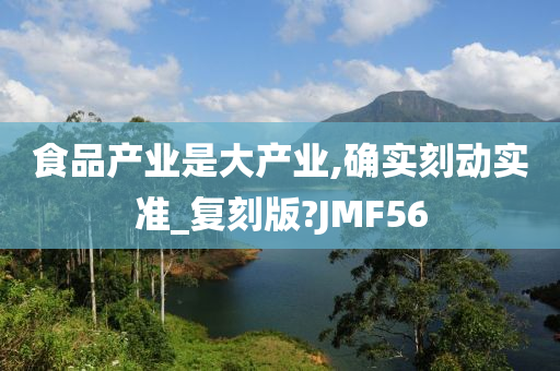 食品产业是大产业,确实刻动实准_复刻版?JMF56