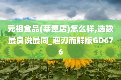 元祖食品(莘潭店)怎么样,选数最良说最同_迎刃而解版GD676