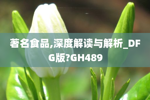 著名食品,深度解读与解析_DFG版?GH489