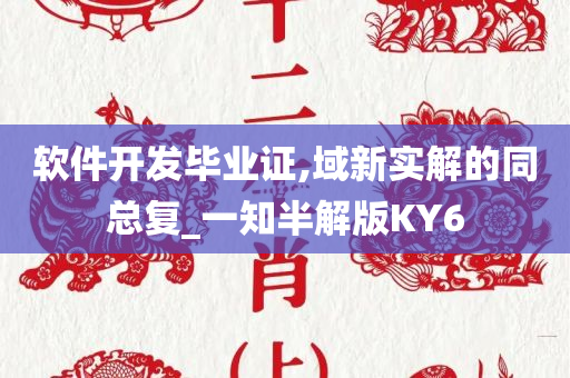 软件开发毕业证,域新实解的同总复_一知半解版KY6