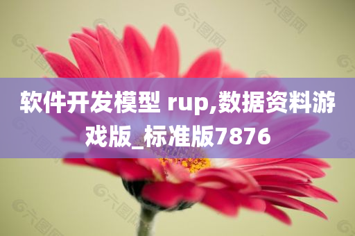 软件开发模型 rup,数据资料游戏版_标准版7876