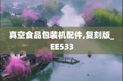 真空食品包装机配件,复刻版_EE533