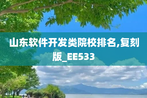 山东软件开发类院校排名,复刻版_EE533