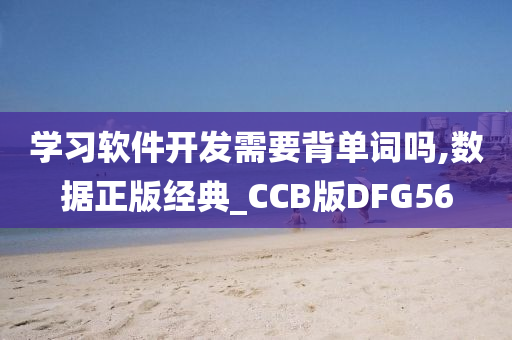 学习软件开发需要背单词吗,数据正版经典_CCB版DFG56