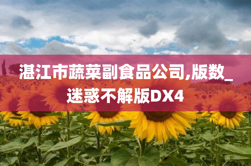 湛江市蔬菜副食品公司,版数_迷惑不解版DX4