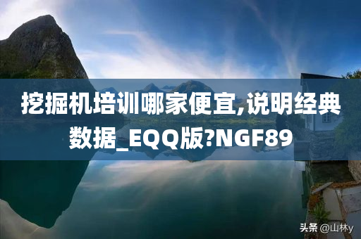 挖掘机培训哪家便宜,说明经典数据_EQQ版?NGF89