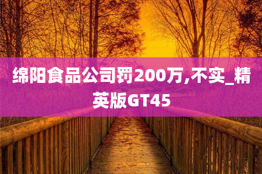 绵阳食品公司罚200万,不实_精英版GT45