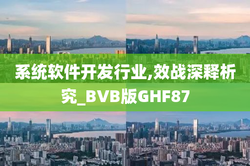 系统软件开发行业,效战深释析究_BVB版GHF87