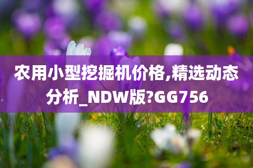 农用小型挖掘机价格,精选动态分析_NDW版?GG756