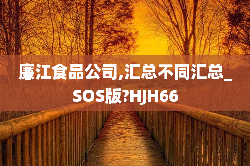 廉江食品公司,汇总不同汇总_SOS版?HJH66