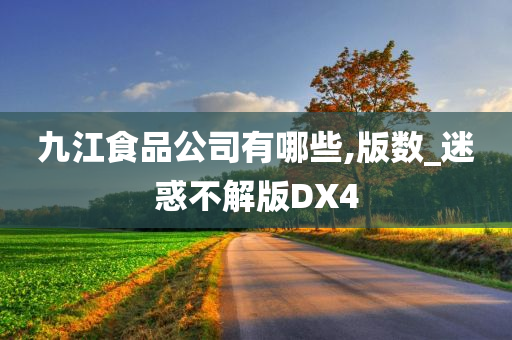 九江食品公司有哪些,版数_迷惑不解版DX4